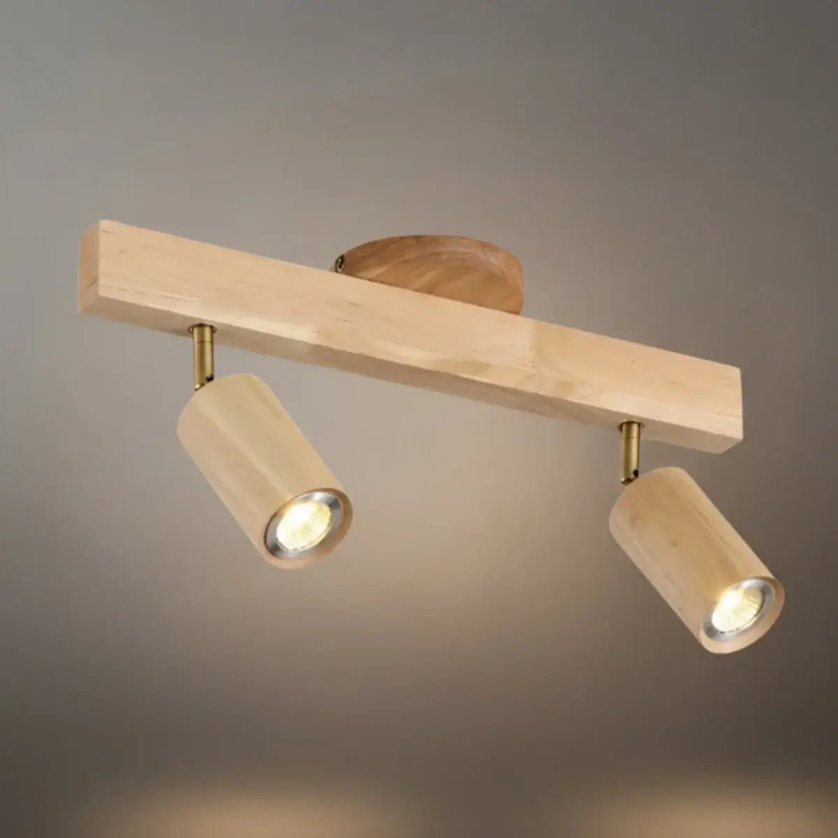 Modern Track Light